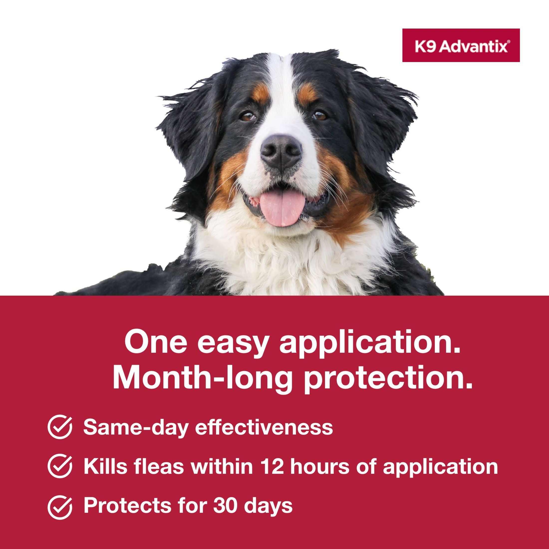 (3 pack) K9 Advantix Flea, Tick & Mosquito Prevention for Extra Large Dogs Over 55 lbs., 2-Monthly Treatments