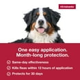 thumbnail image 2 of K9 Advantix Flea, Tick & Mosquito Prevention for Extra Large Dogs Over 55 lbs., 2-Monthly Treatments, 2 of 8