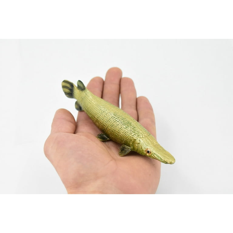 Fish, Aligator GAR, Museum Quality, Hand Painted, Rubber Fish, Realistic Toy Figure, Model, Replica, Kids, Educational, Gift, 6 inch Ch465 BB151