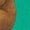 Kelly Green, variant on Inktastic Cute Brown Bear Boys or Girls Toddler T-Shirt