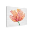 thumbnail image 2 of Trademark Fine Art 'Single Pink Bloom II' Canvas Art by Tim O'Toole, 2 of 3