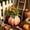 Yellow, variant on Pumpkin Planter Pot Fall Decorative Flower Pot Indoor Outdoor Garden Planter Home Ornament Resin Pumpkin Shape Container for Patio Tabletop Decor Thanksgiving Halloween Gift