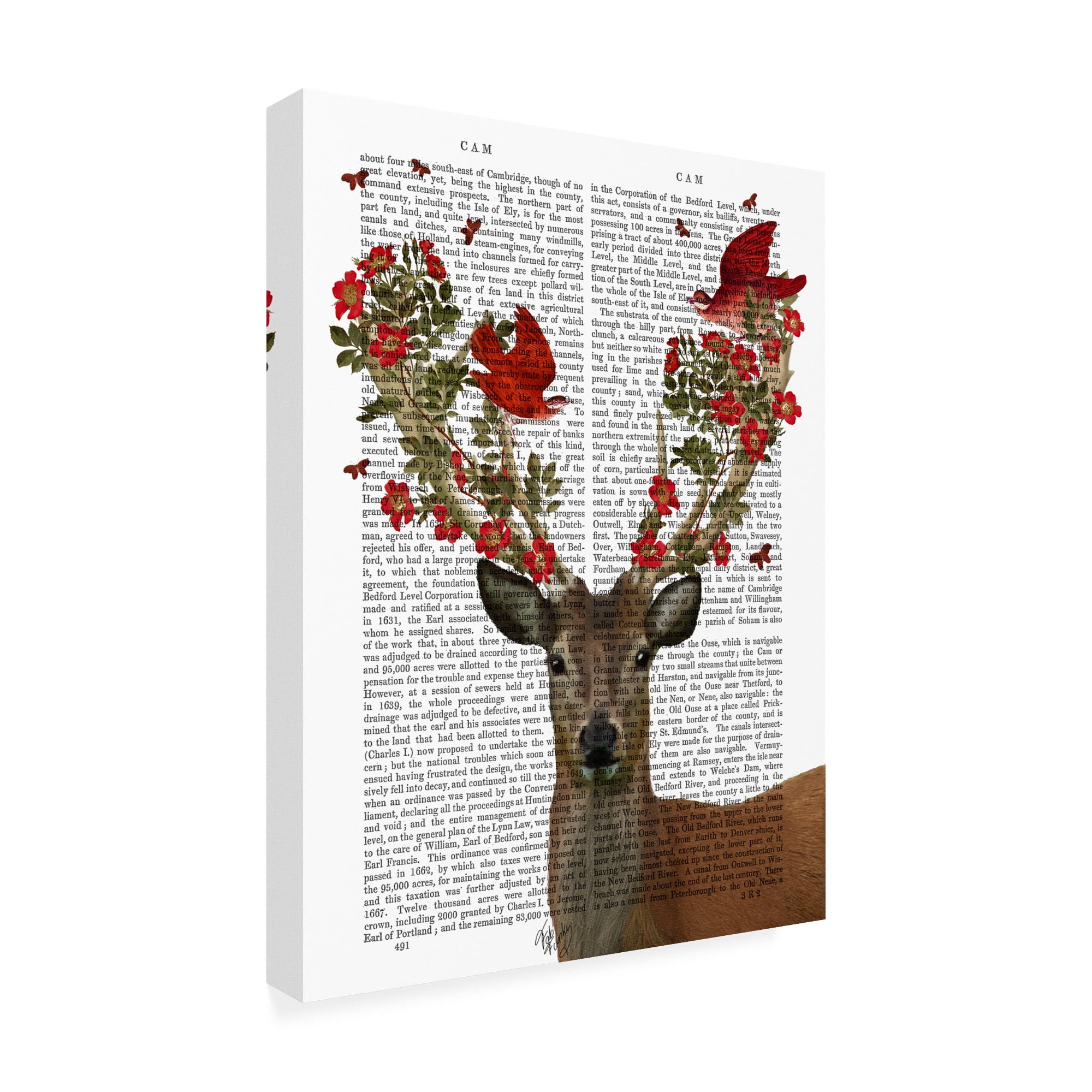 Trademark Fine Art 'Deer And Love Birds' Canvas Art by Fab Funky