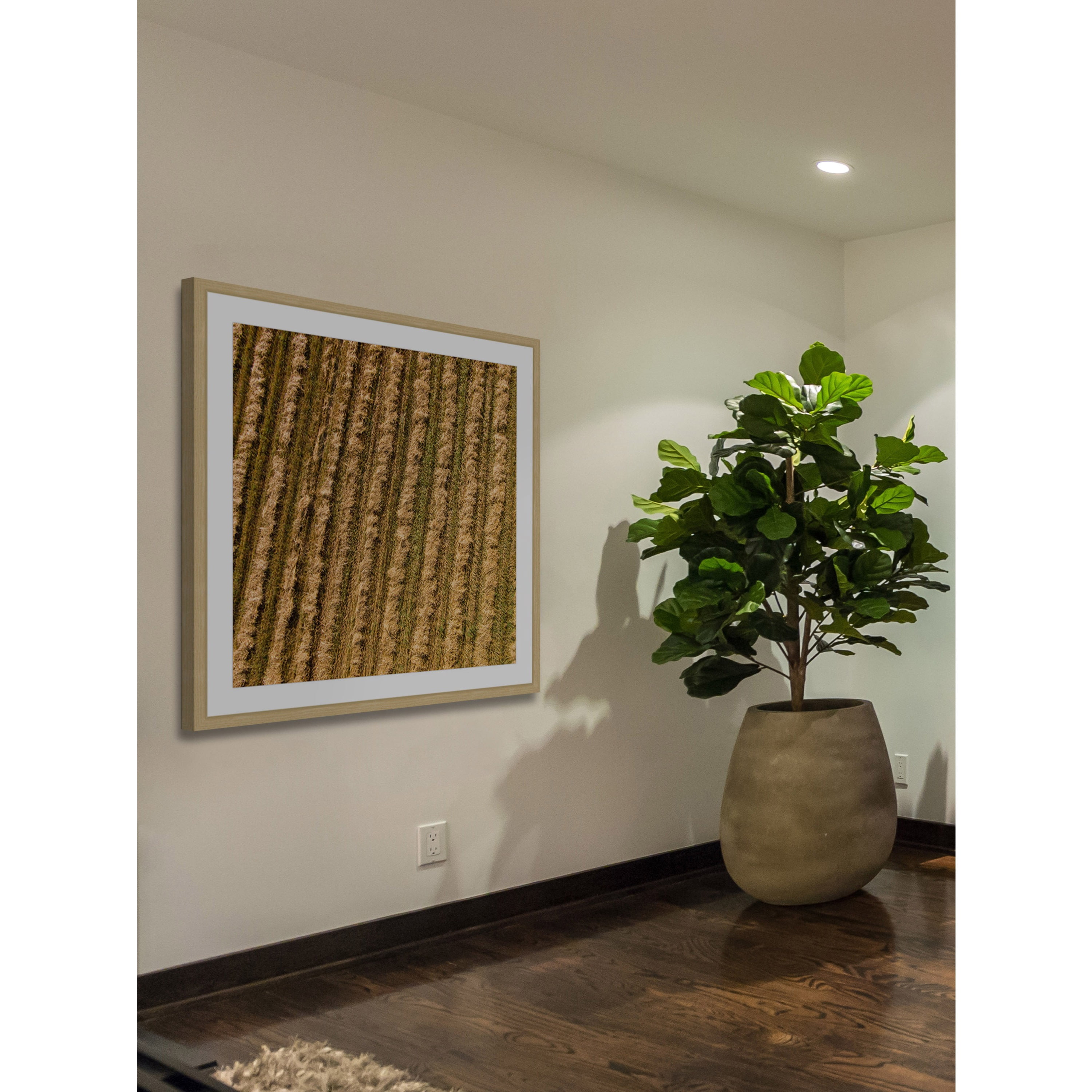 Marmont Hill "Tilled Field" By Karolis Janulis Framed Painting Art Print, 24.0" x 1.5"