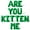 Green, variant on Letter Balloons - ARE YOU KITTEN ME 16" Inch Alphabet Letters Foil Mylar Balloon Birthday Party Banner (Gold)