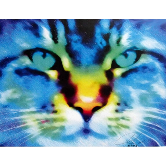 Tymeless Wonders Cat Glossy Poster