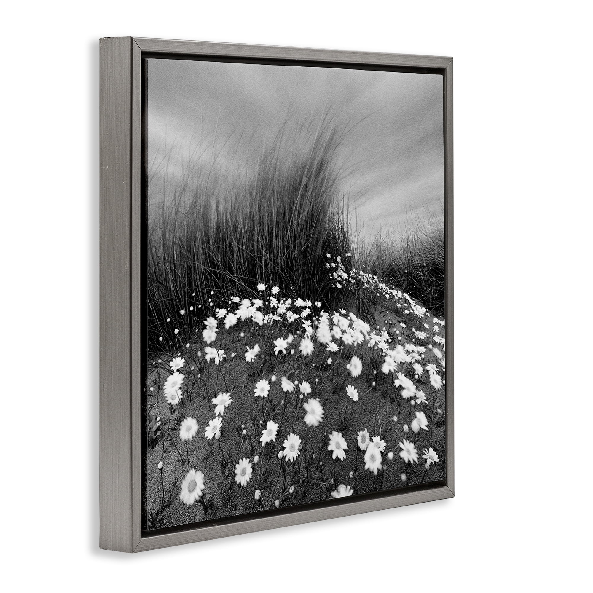 Stupell Industries Sand Daisies on Hill Landscape Photography Gray Floater Framed Art Print Wall Art, 18 x 18