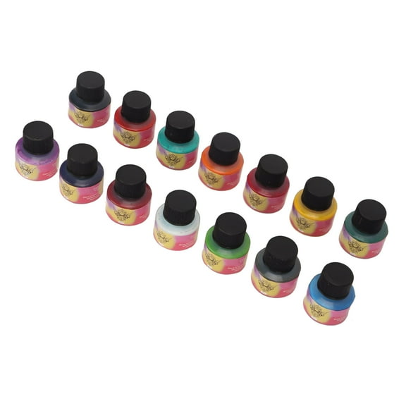 RAGUPEL High Color Saturation 14pcs Tattoo Ink Set Permanent Makeup Pigment Kit