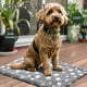 thumbnail image 2 of Dog Bed Mat - Dog Crate Pad - Reversible Dog Mat for Pet Comfort - Soft Bed Crate Pads with Dual-Sided Design for All Seasons - Durable, Machine Washable Dog Mat for Crates, Travel, and Home, 2 of 5