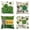 Type 06, variant on Happy ST Patricks Day Lucky Charm Blessed Hat Clover Stripes Throw Pillow Covers, 18 x 18 Inch Buffalo Plaid Bow Shamrocks Decoration for Sofa Couch Set of 4