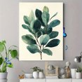 thumbnail image 4 of Qisvanset 12x16 Inch 2D Flat Framed Canvas Art, Sage Green Vintage Botanical Watercolor Nursery Home Wall Art, 4 of 5