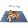 thumbnail image 4 of VEEKI Non-Slip Dog Mat (L) 39.3" x 27.5", Washable Puppy Mat, Quick Absorb, Reusable, Waterproof Training, Travel, Puppies, Burglary, Incontinence, Playpen, Crate B923-84, 4 of 5