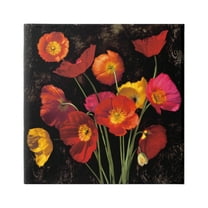 Stupell Industries Red Poppies Photography Botanical & Floral Photography Gallery Wrapped Canvas Print Wall Art, 17 x 17