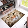 thumbnail image 3 of MKHERT Close-up Portrait of Siberian Cat Kitten Face Doormat Rug Home Decor Floor Mat Bath Mat 30x18 inch, 3 of 3