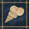 thumbnail image 2 of Jacobs, Cindy 20x20 White Modern Wood Framed Museum Art Print Titled - Seashell on Navy III, 2 of 4