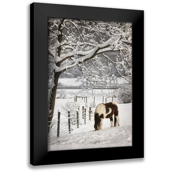 Deiter, Lori 11x14 Black Modern Framed Museum Art Print Titled - Paint in the Snow