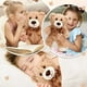 thumbnail image 5 of Osos de San Valentín Hydren de animales de peluche, 12 piezas, 30 cm, 5 of 8