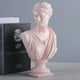 thumbnail image 2 of Estatua de escultura de Venus rosa con elegante busto femenino de resina, 31 cm, 2 of 2