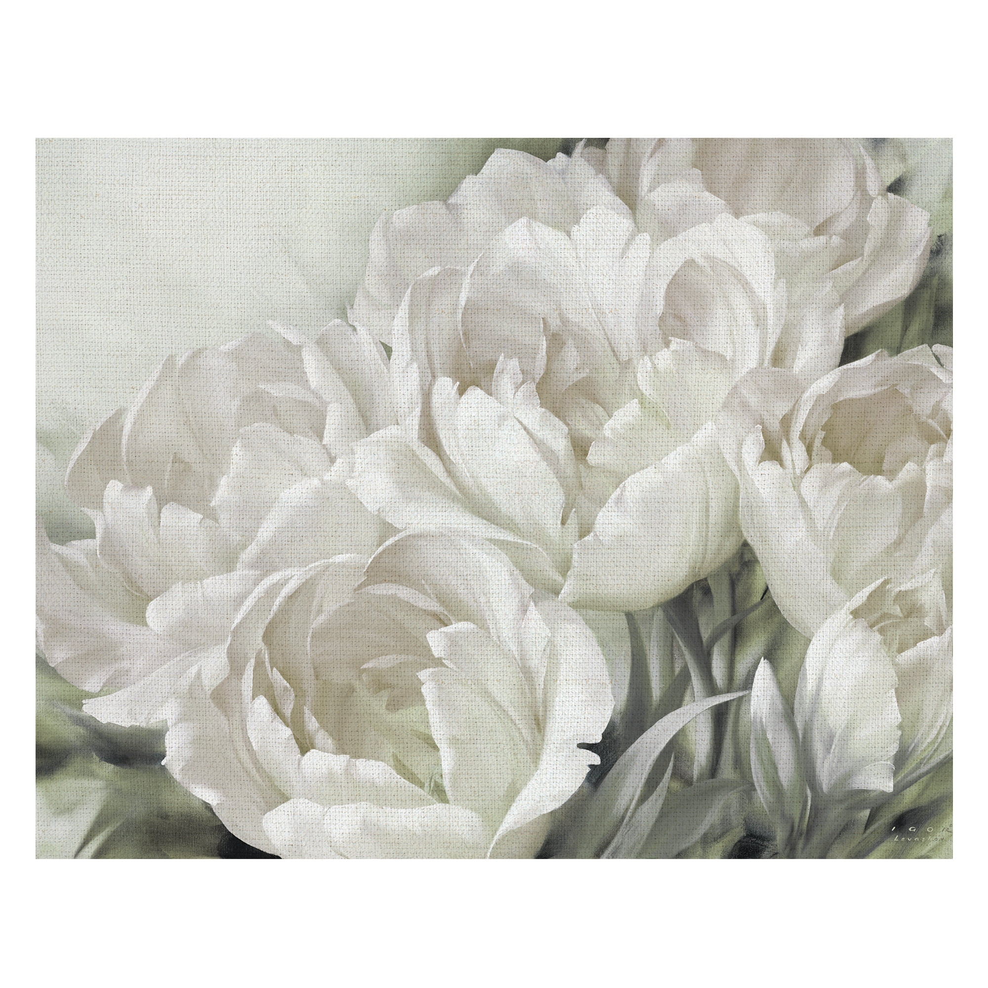 Angelique Tulips II White by Igor Levashov Wrapped Canvas Painting Art ...