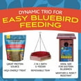 thumbnail image 2 of Pennington Bluebird Birdhouse, Cedar Tray Bird Feeder Birdbath, 17. 6 oz Mealworm, Starter Bundle, 2 of 10