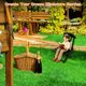 thumbnail image 5 of Uxcell 4-Pack Sillas Plegables en Miniatura para Casa de Muñecas, 2.1x2x3 Pulgadas Sillas de Playa Plegables en Miniatura [Negro], 5 of 6