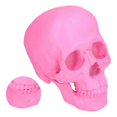 thumbnail image 3 of Resin Halloween Skull Decor Festival Home Props Fake Whole Person Skull Ornaments Pink NO.8913, 3 of 5