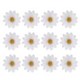 thumbnail image 1 of TEHAUX 12Ud Pasadores De Flor Daisy Para Estilos De Y Liso Con Delicado, 1 of 6