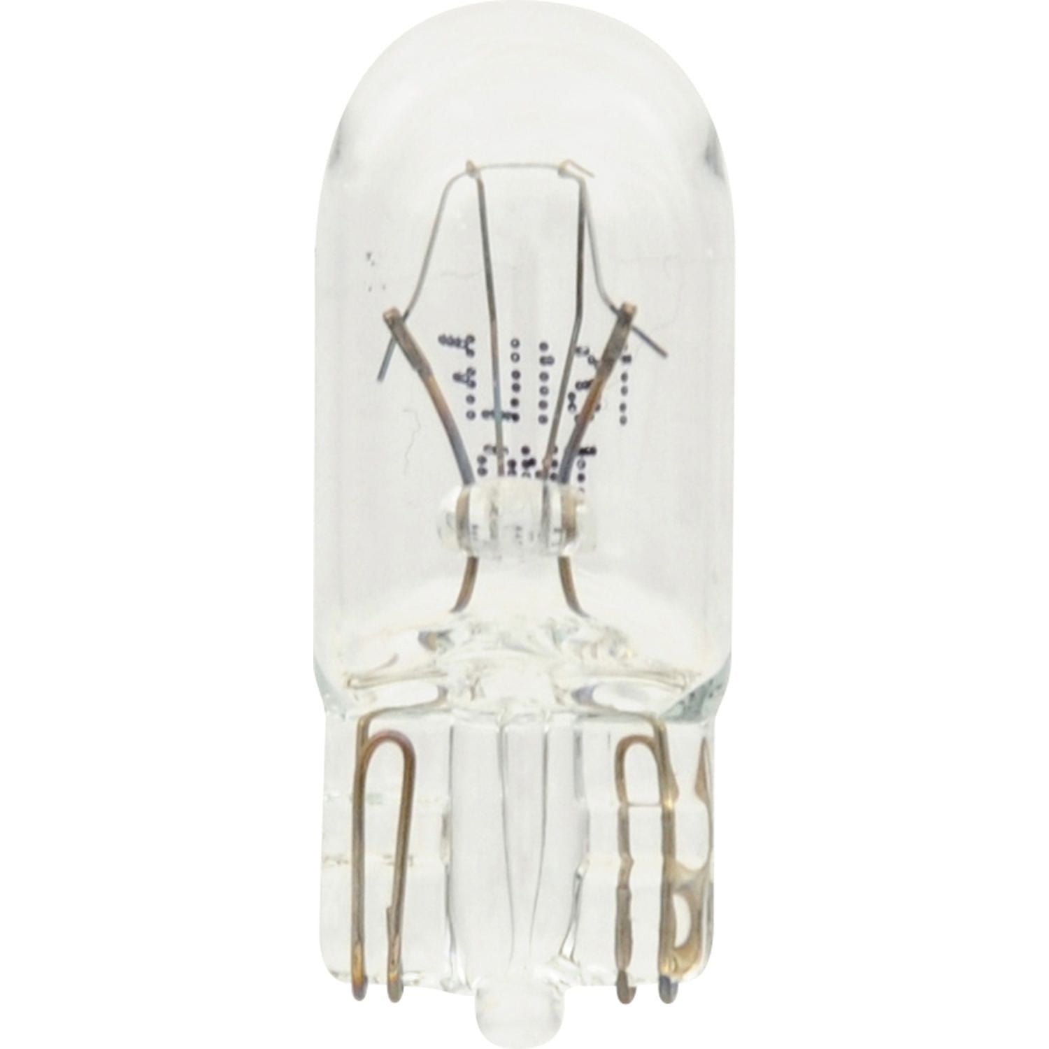 Mini lampes à longue durée 161 de SYLVANIA