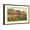 Brown Frame, variant on Art.com Catalina Mountains, Tucson, Arizona Art Print, 18" x 12"
