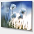 thumbnail image 2 of Beautiful Polar White Flowers - Floral Canvas Art Print, 2 of 3