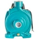 thumbnail image 3 of Bomba Centrífuga de Hierro Fundido IUSA 1.5 HP azul 127 V 60 Hz, 3 of 5