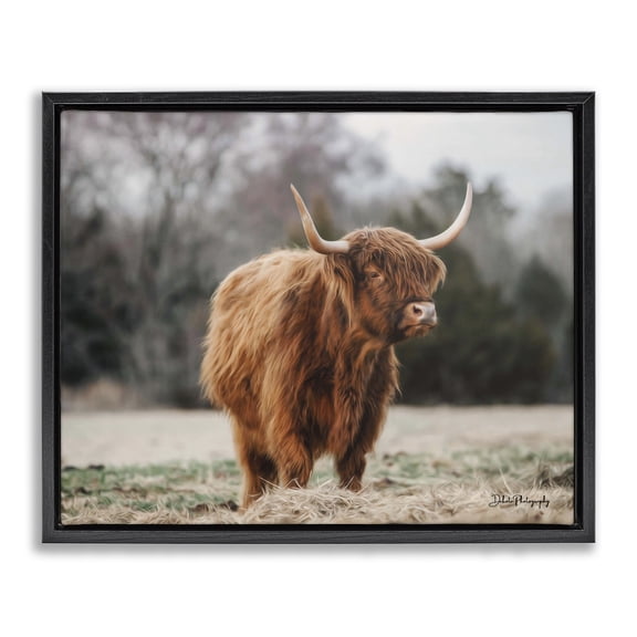 Stupell Industries Farmhouse Serene Highland Cattle Rural Pasture Daylight Sun Black Floating Frame Canvas Art, 21 x 17, by Dakota Diener