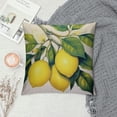 thumbnail image 2 of JEUXUS &nbsp;Fruit Pillow Covers Fresh Lemon with Green Leaf Decorative Pillow Cover Square Pillowcase Decor Indoor Outdoor Home Couch, 2 of 5