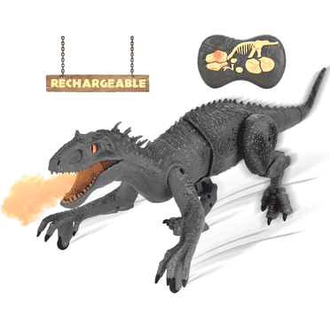 Remote Control Dinosaur Toy for Kids Ages Auto Mist Spraying With LED And 2.4G