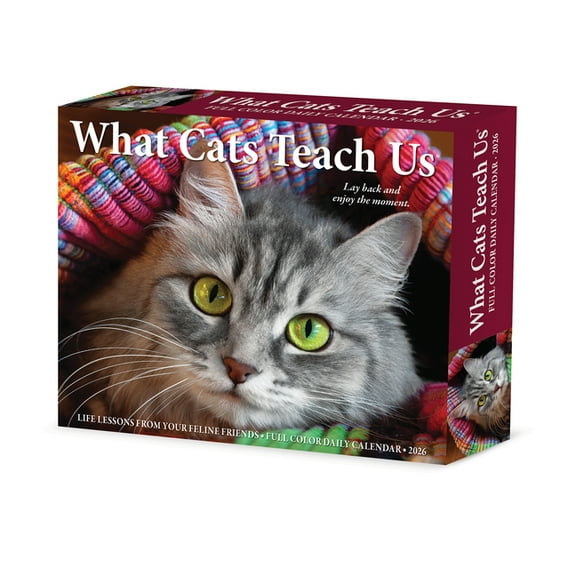 What Cats Teach Us 2026 Box Calendar, (Paperback)