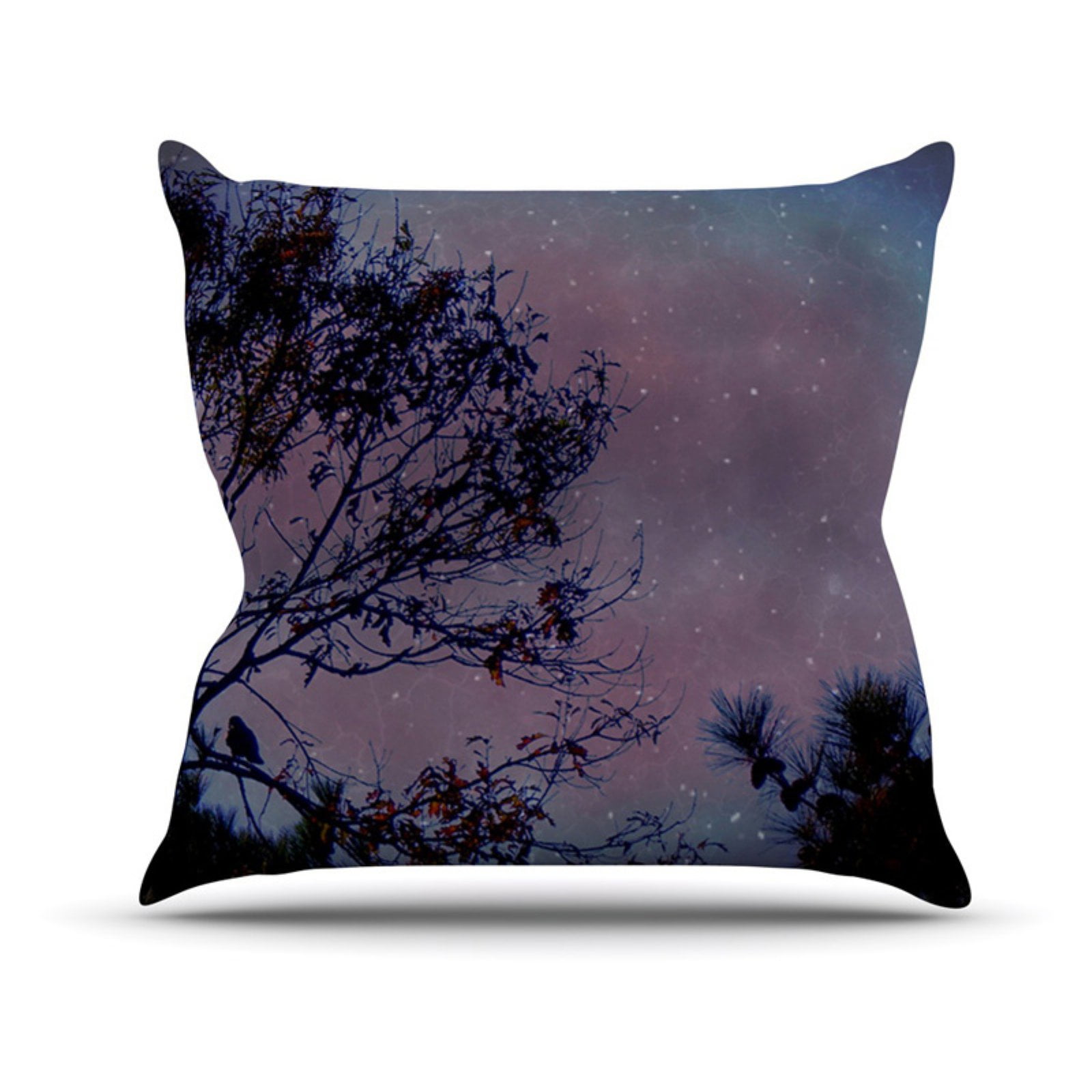 Kess InHouse Robin Dickinson May Your Wishes Throw Pillow 16 by 16 Blue Brown