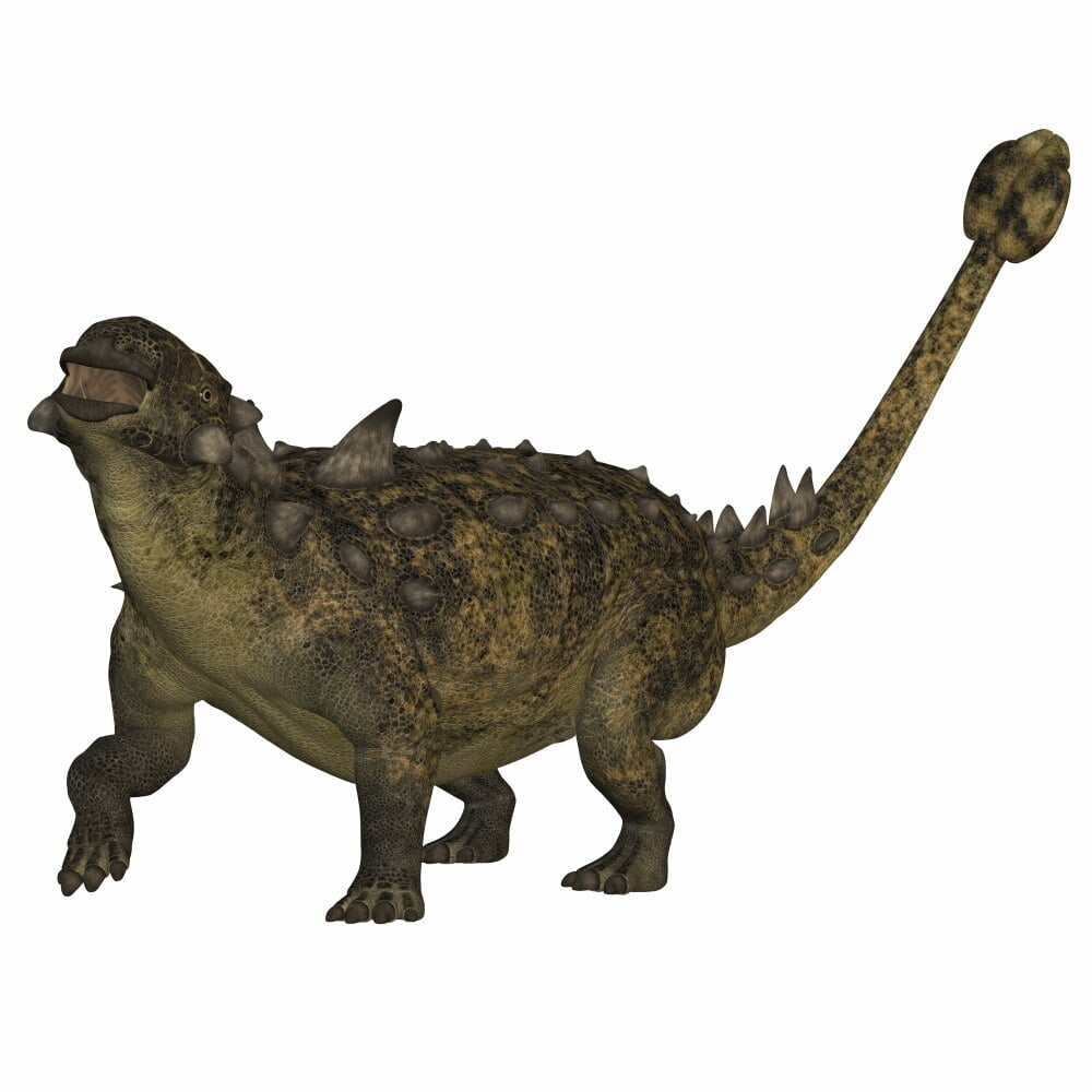 dinosaur with hard shell and club tail
