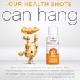 thumbnail image 6 of The Ginger People Ginger Rescue Shots – Immunity Boosting, Caffeine Free Energy, Digestive Heath, Turmeric Flavor, 2 fl oz (Pack of 12), 6 of 7