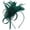 Blackish Green, variant on Helii Women's Tulle Feather Fascinator Headband – 2-in-1 Convertible Hair Clip and Mini Hat, Elegant Kentucky Derby Wedding Tea Party Halloween Headpiece Black,One Size