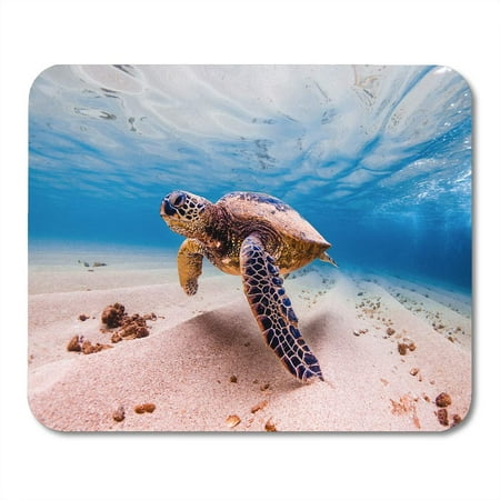 KDAGR Endangered Hawaiian Green Sea Turtle Cruises in the Warm Waters of Pacific Ocean Hawaii Mousepad Mouse Pad Mouse Mat 9x10