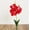 Red, variant on PPKVUFD 1 Bunches Tropical Artificial Flower 10" Mini Butterfly Orchid with 3 Silk Flower Heads and Phalaenopsis Orchids Leaves Faux Leaf for Wedding Home Decor Flowers Garden Bonsai (Red)