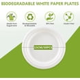 thumbnail image 2 of Paquete de 50 platos de papel blanco, 15 cm, 100% biodegradables y compostables, platos desechables ecológicos para picnics y barbacoas (15 cm), 2 of 5