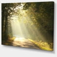 thumbnail image 2 of Bright Sunbeams to Fall Forest, 2 of 3