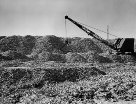 Posterazzi Crane Co