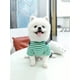 thumbnail image 3 of Four-Legged Striped Bear Suspender Pants For Autumn, Small To Large Dogs Clothes, Pet Clothing, 3 of 5