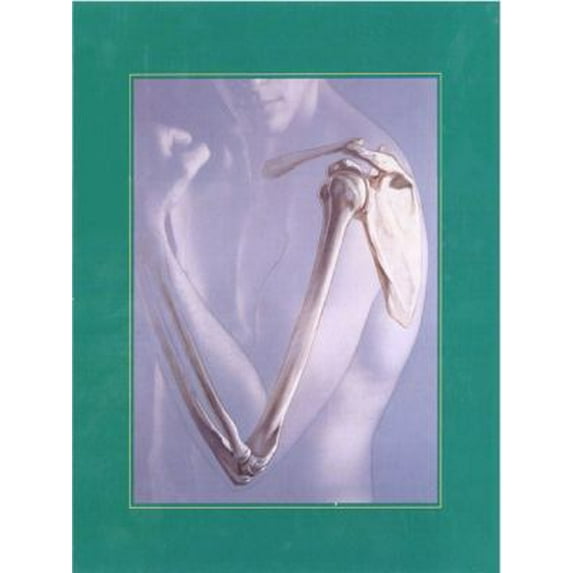 Pre-Owned Human Anatomy (3rd Edition) (Hardcover) 0130100110 9780130100115