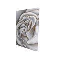 thumbnail image 1 of White rose delicate - 24"x36" canvas - Print on demand, 1 of 5