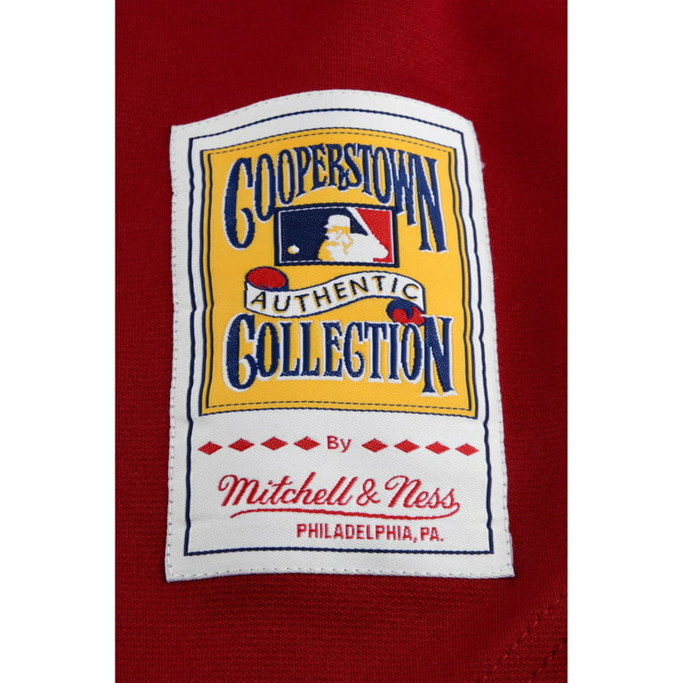 Mike Schmidt Philadelphia Phillies Mitchell & Ness Cooperstown Collection Authentic Jersey - Light Blue