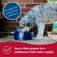 thumbnail image 3 of Coastal Pet Bergan Auto-Wata - Backyard & Patio Automatic Water Bowl - Navy - 1.5 qts / 48 oz, 3 of 7