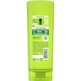 thumbnail image 2 of Garnier Fructis Sleek &amp; Shine Fortifying Conditioner, 21 Fl Oz (Pack of 2), 2 of 11